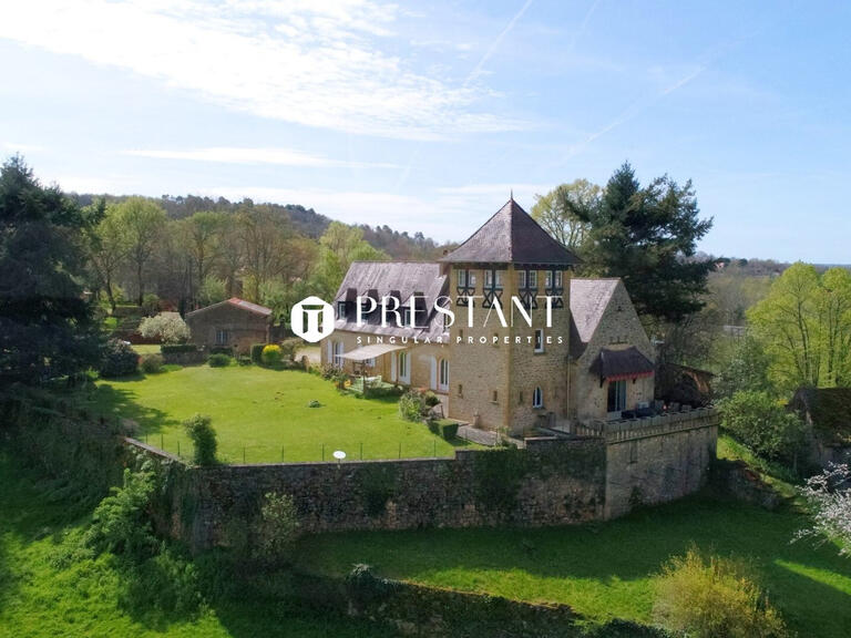 Manor Sarlat-la-Canéda - 5 bedrooms - 305m²