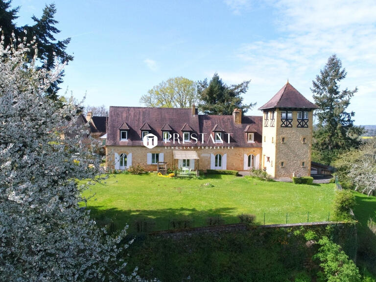 Manor Sarlat-la-Canéda - 5 bedrooms - 305m²