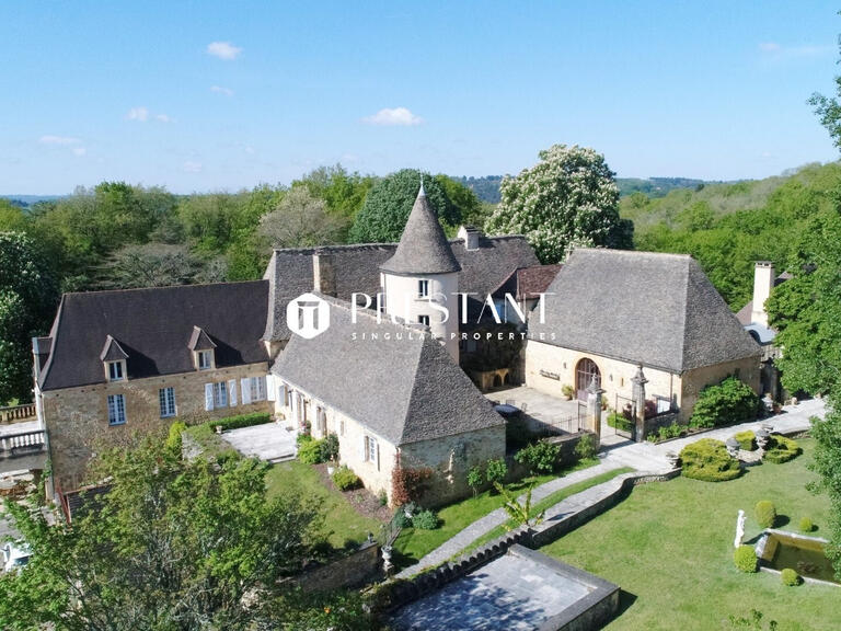 Propriété Sarlat-la-Canéda - 9 chambres - 716m²