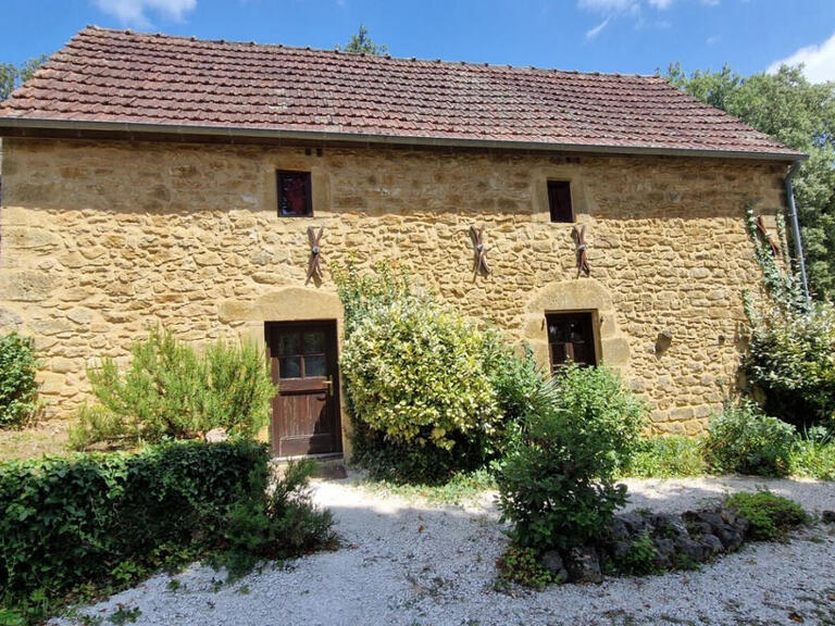 Propriété Sarlat-la-Canéda - 7 chambres