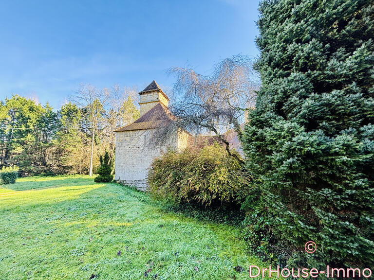 Villa Sarlat-la-Canéda - 4 bedrooms - 250m²