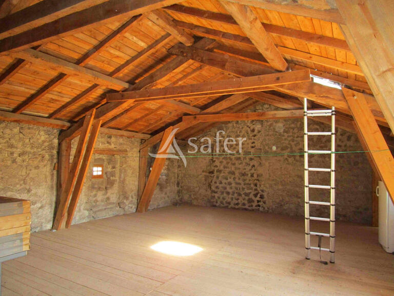 House Saugues - 4 bedrooms - 700m²