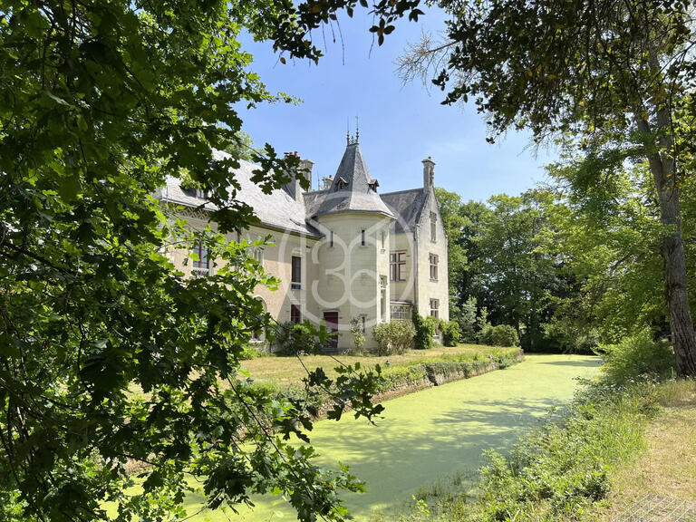 Castle Saumur - 8 bedrooms - 550m²