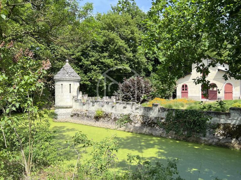 Castle Saumur - 8 bedrooms - 550m²