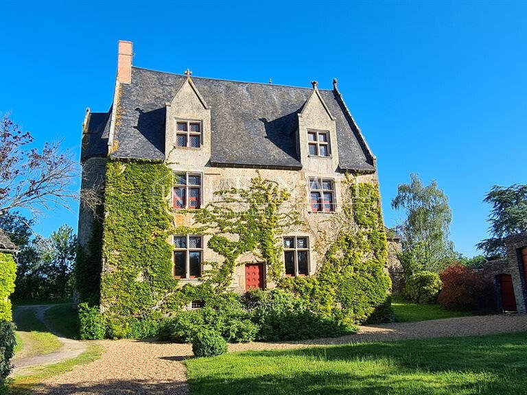 Manoir Sillé-le-Guillaume - 8 chambres - 450m²