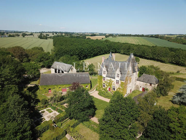 Manoir Sillé-le-Guillaume - 8 chambres - 450m²