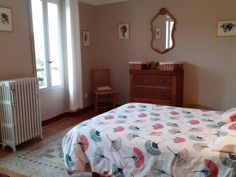 Vente Maison Sisteron - 14 chambres