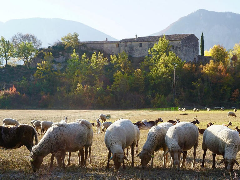 House Sisteron - 6 bedrooms - 278m²