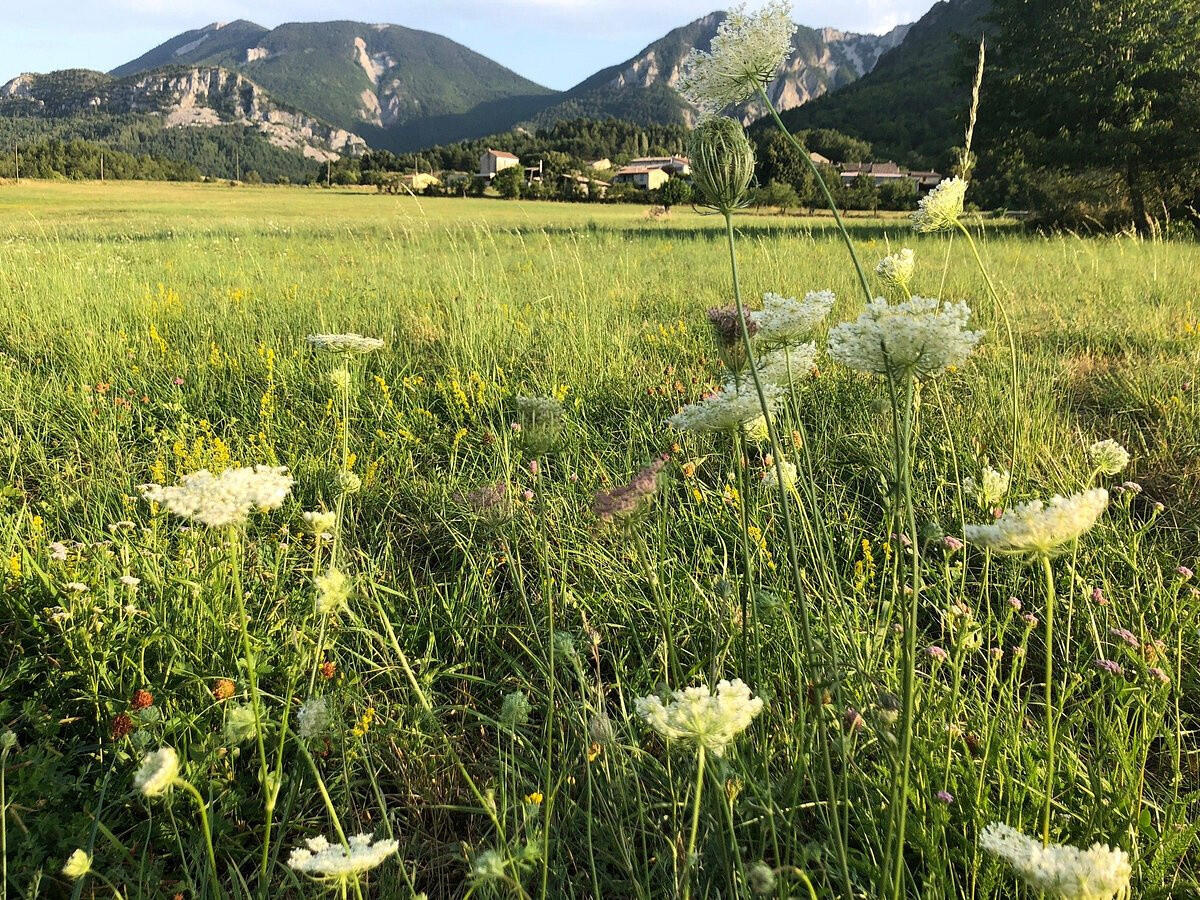 House Sisteron