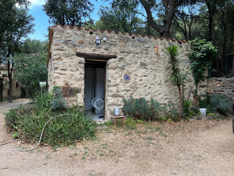 Maison Sorède - 8 chambres