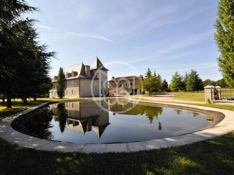 Manor Sousceyrac - 7 bedrooms - 380m²