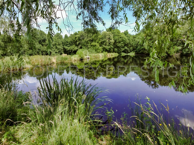 Villa Sully-sur-Loire - 20 chambres - 850m²