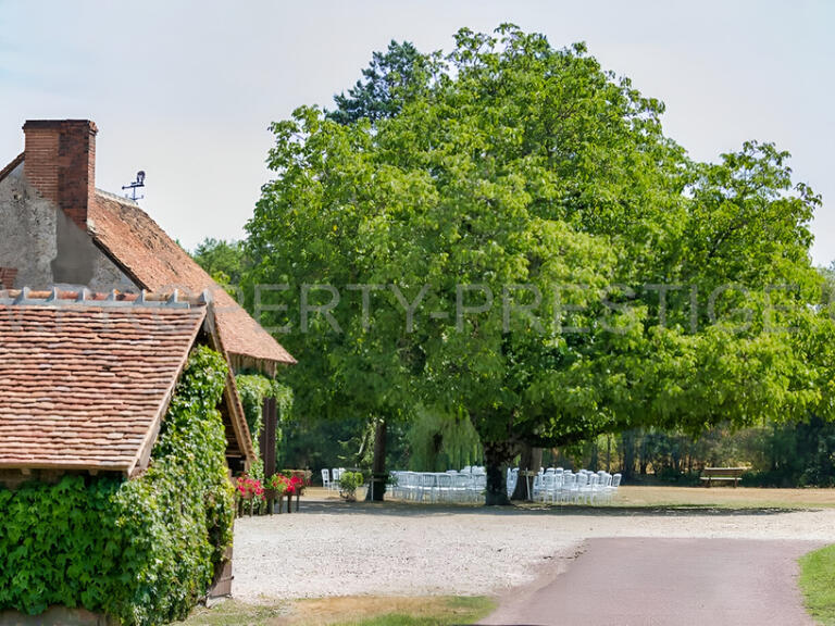 Villa Sully-sur-Loire - 20 chambres - 850m²