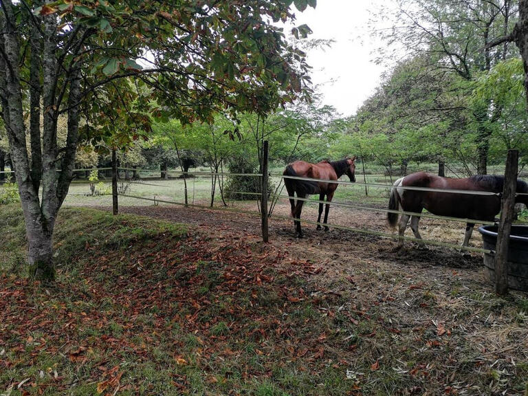 Moulin Termes-d'Armagnac - 9 chambres - 380m²