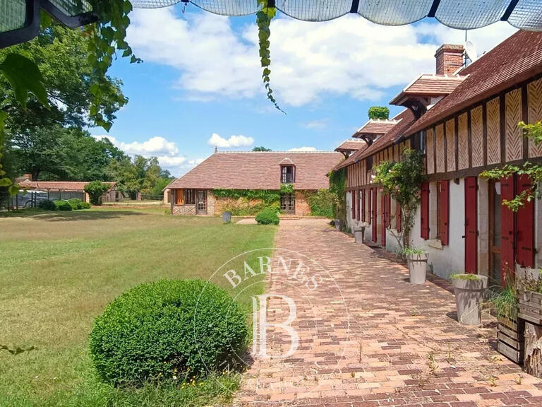 Propriété Theillay - 4 chambres - 35000m²