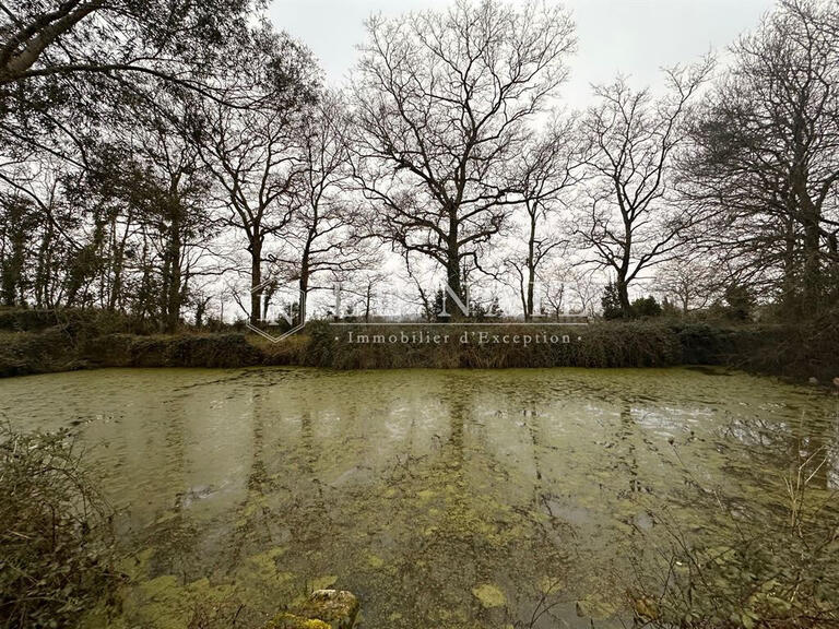 Manor Thouaré-sur-Loire - 6 bedrooms - 263m²