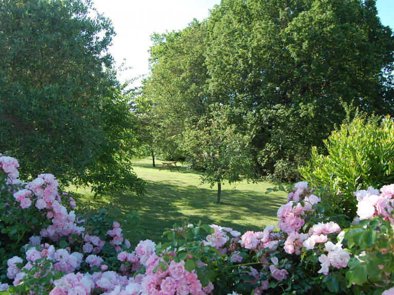 Vente Maison Touffailles - 4 chambres