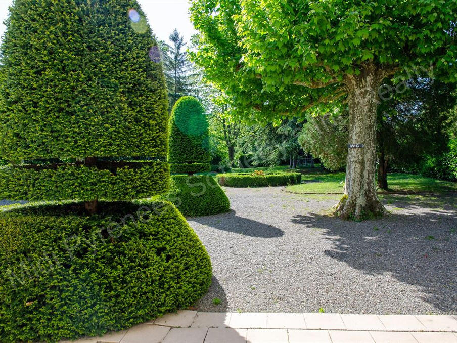 Castle Toulouse