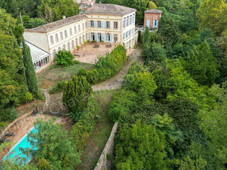 Castle Toulouse - 11 bedrooms - 1150m²