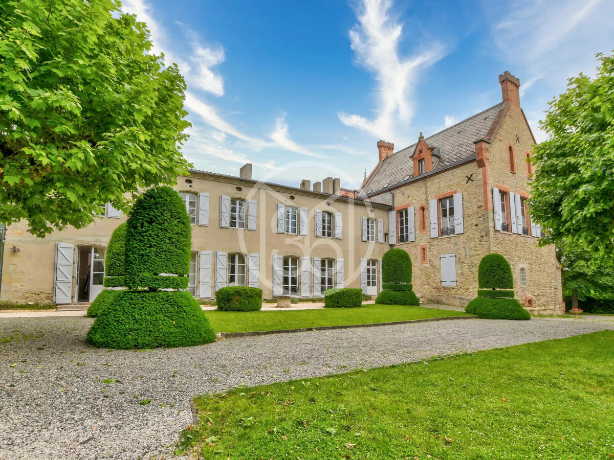 Castle Toulouse