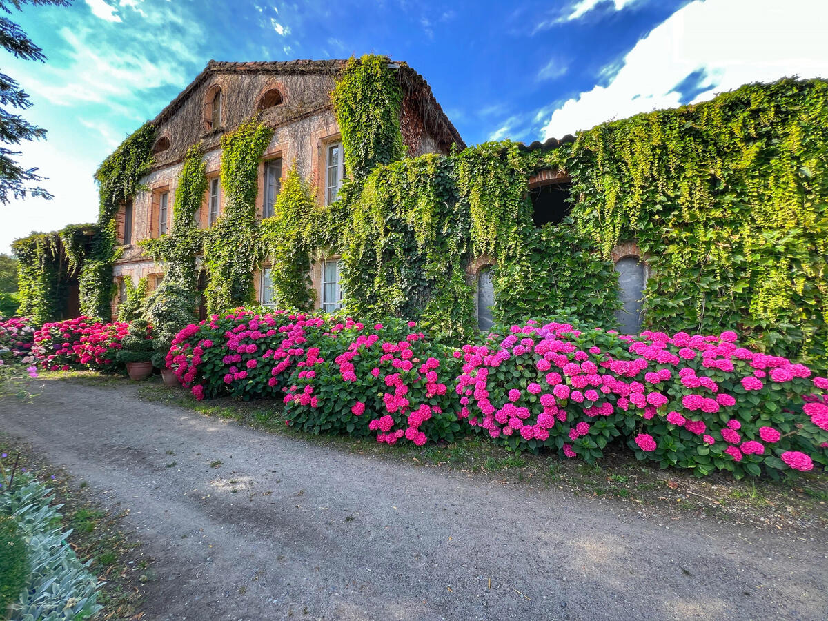 Maison Toulouse