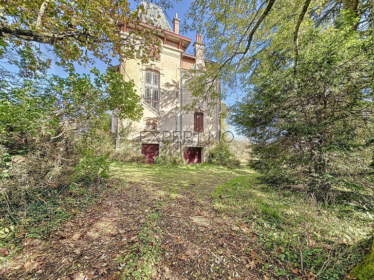 Maison Tournus - 6 chambres - 331m²