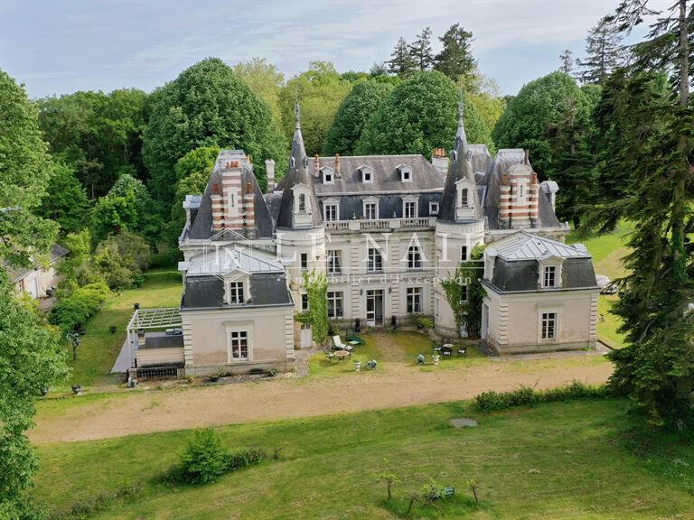 Vente Château Tours - 12 chambres