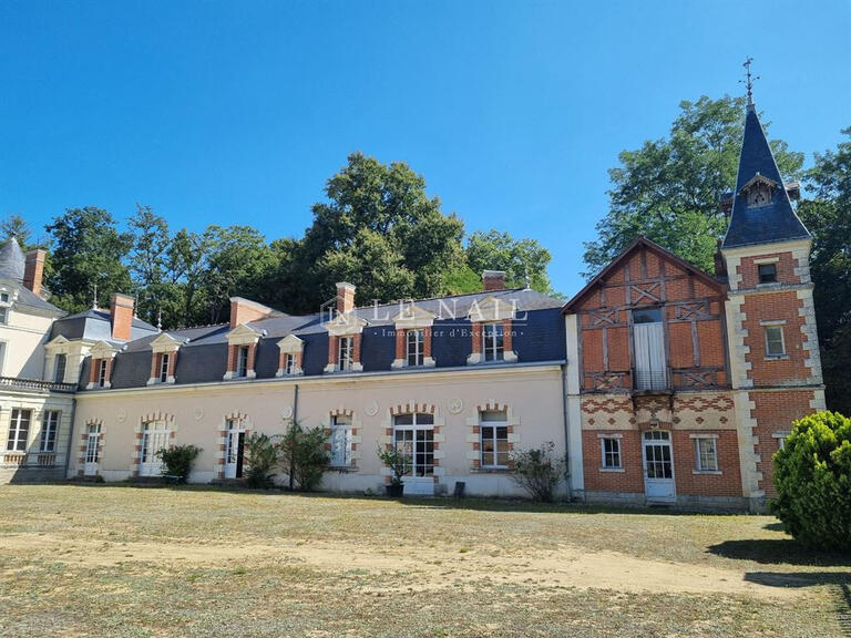 Château Tours - 13 chambres - 1000m²