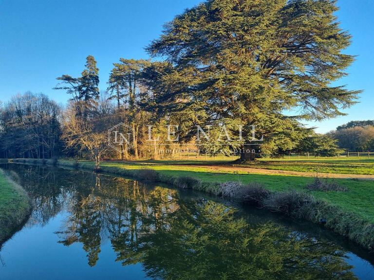 Château Tours - 8 chambres - 450m²