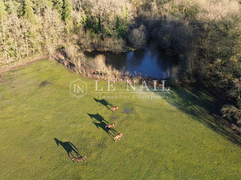 Château Tours - 8 chambres - 450m²