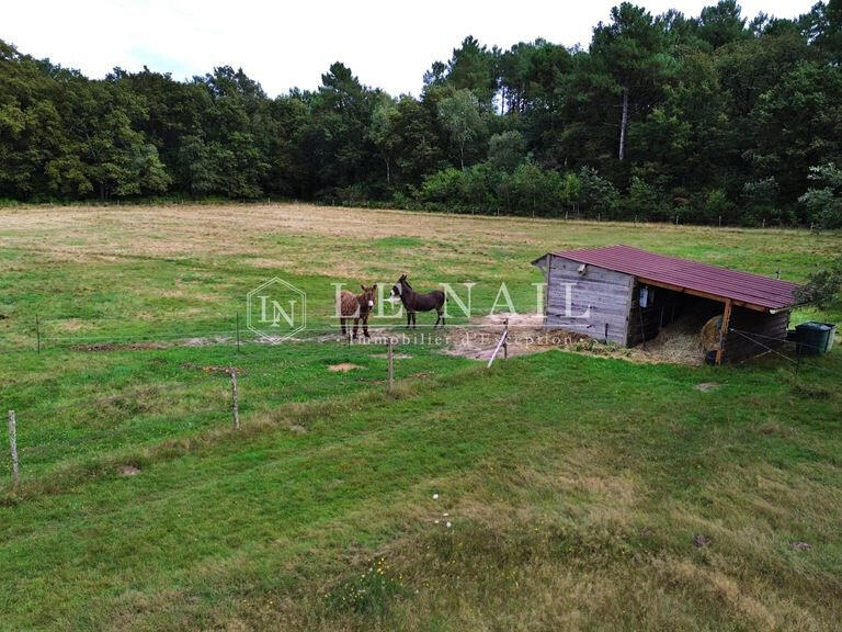 Moulin Tours - 3 chambres - 200m²