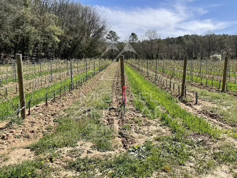 Sale Vineyard Tourtour