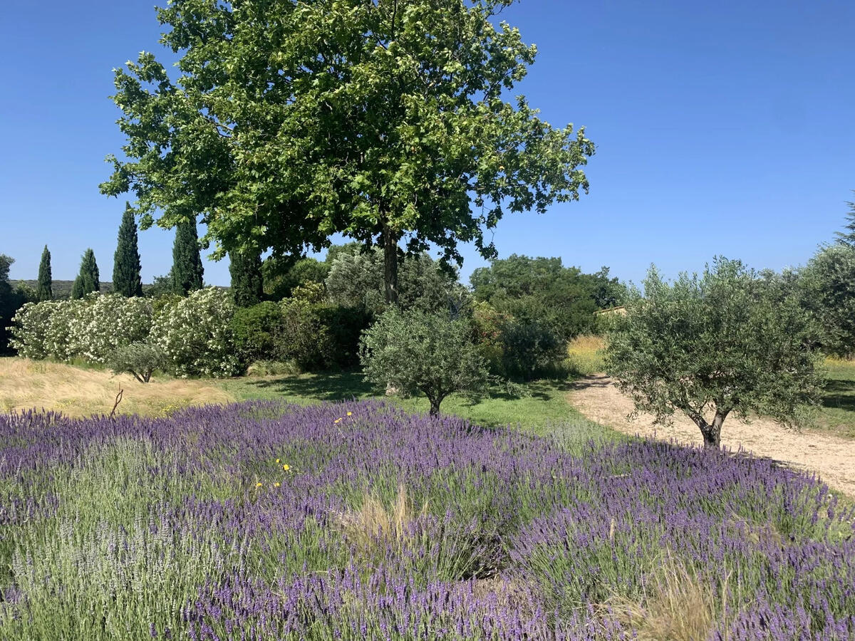 Property Uzès