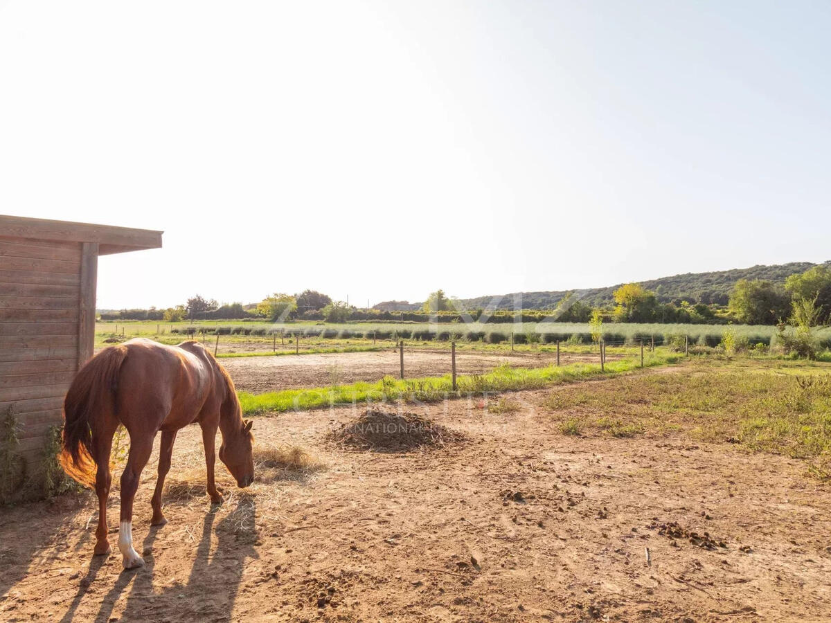 Equestrian property Uzès