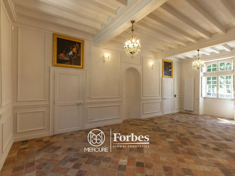 Castle Valençay - 7 bedrooms - 400m²