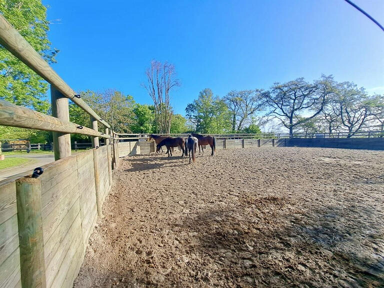 Sale Equestrian property Versailles - 3 bedrooms