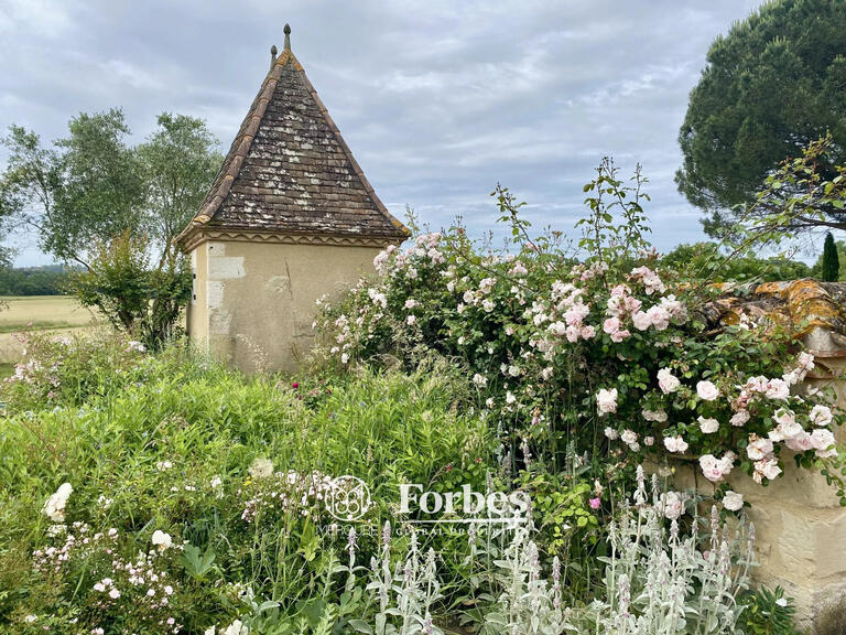 Manoir Verteuil-d'Agenais - 10 chambres - 1875m²