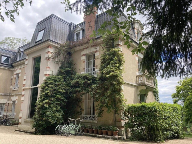 Castle Veuves - 16 bedrooms - 558m²