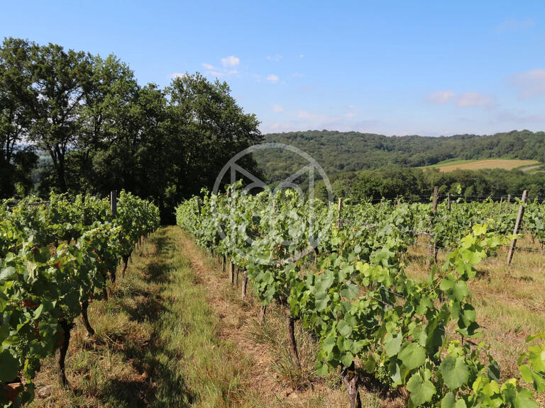 Vente Domaine viticole Vic-en-Bigorre