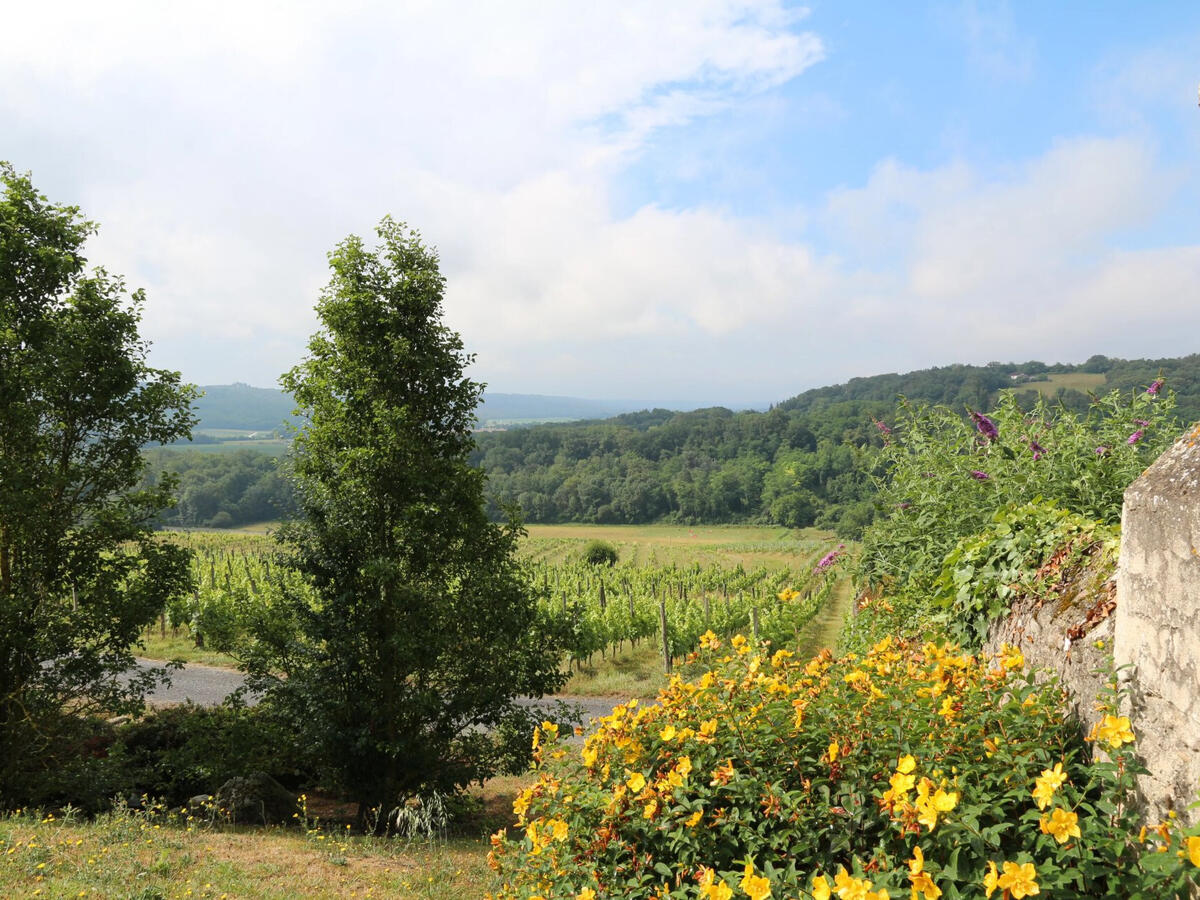 Vineyard Vic-en-Bigorre