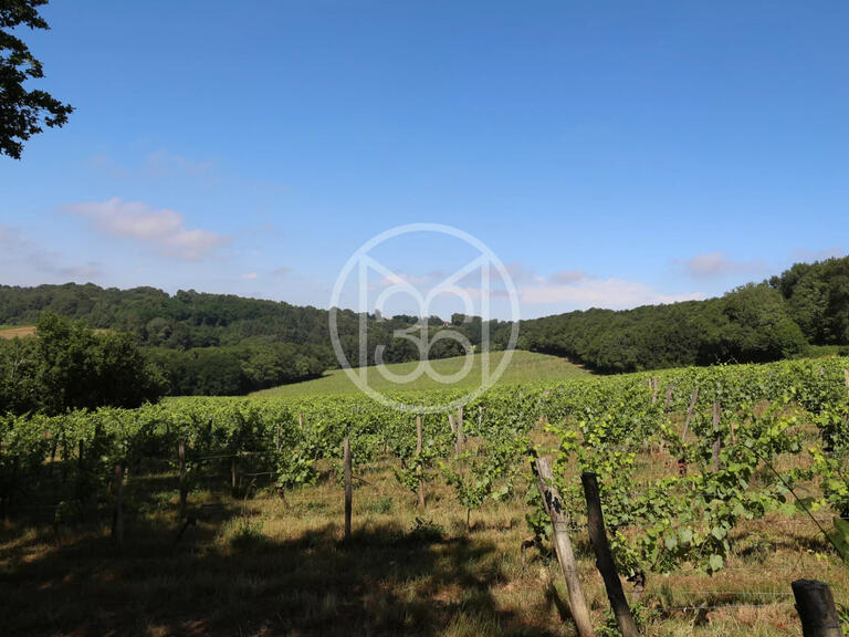 Vente Domaine viticole Vic-en-Bigorre