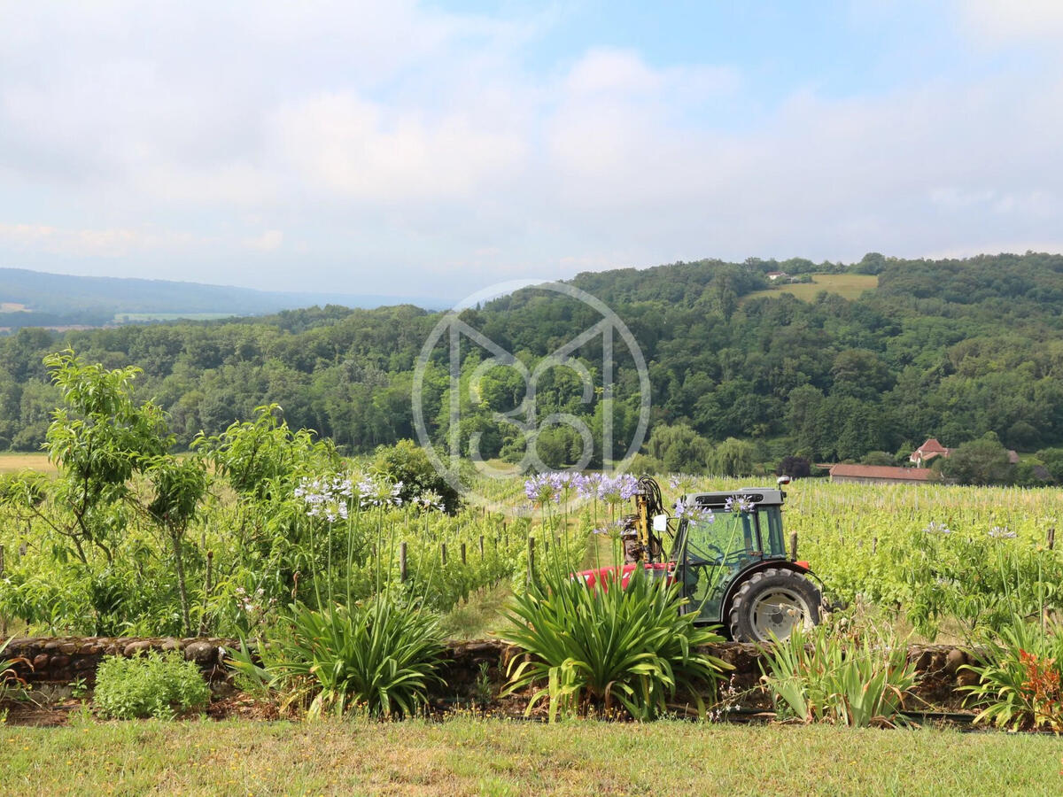 Domaine viticole Vic-en-Bigorre