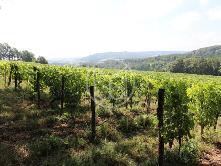 Vente Domaine viticole Vic-en-Bigorre