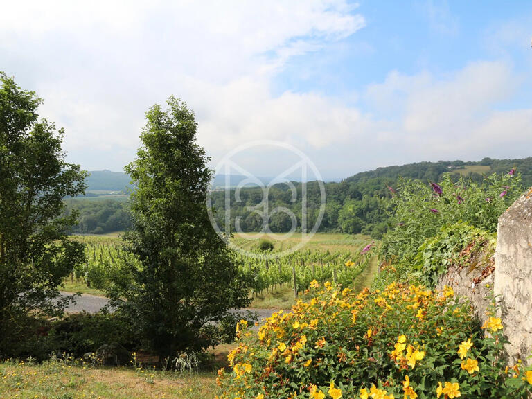 Vineyard Vic-en-Bigorre