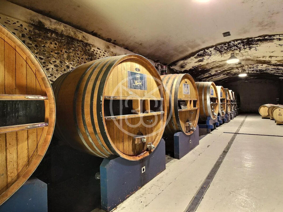 Domaine viticole Vic-en-Bigorre