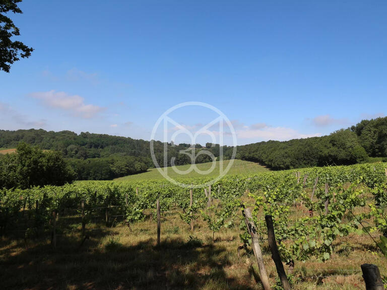 Vineyard Vic-en-Bigorre