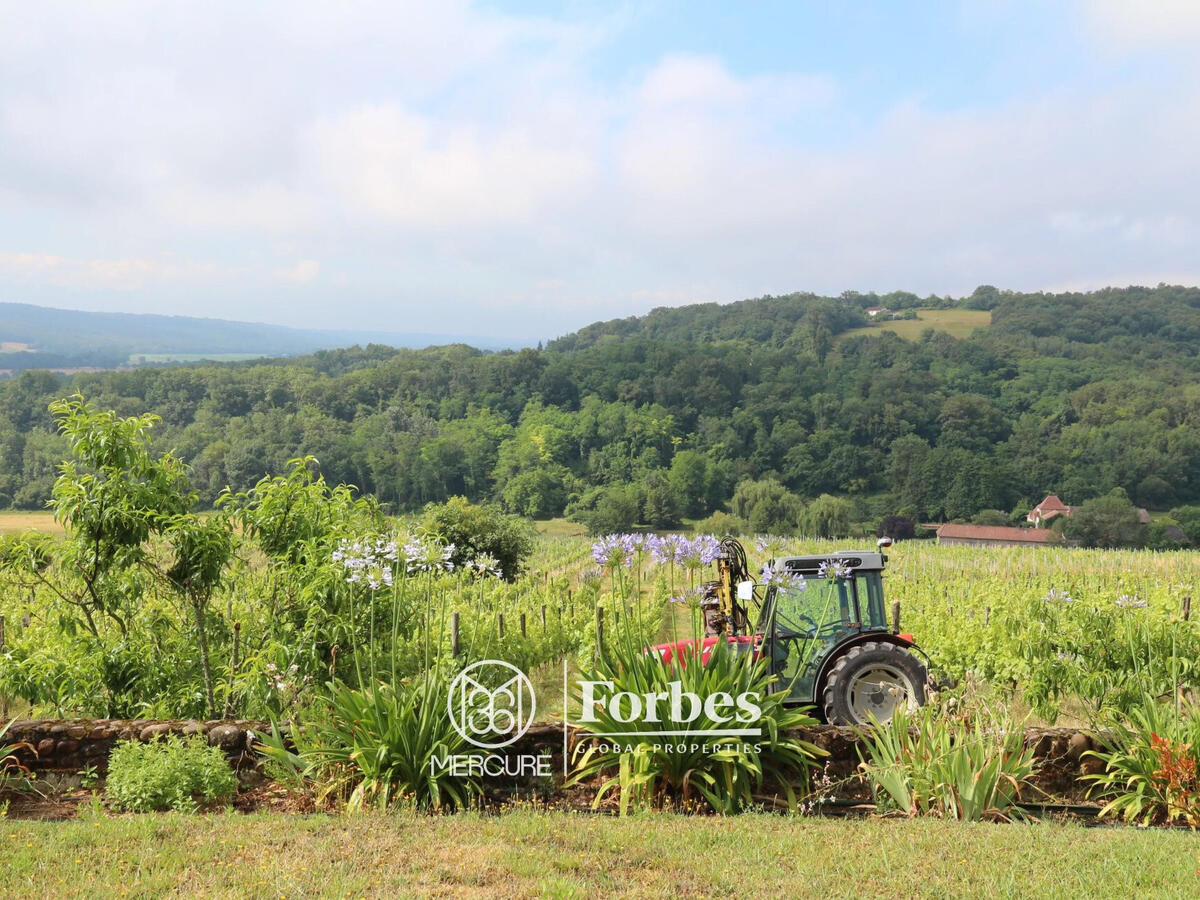 Domaine viticole Vic-en-Bigorre