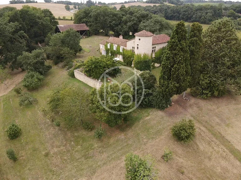 Castle Vic-Fezensac - 3 bedrooms - 340m²