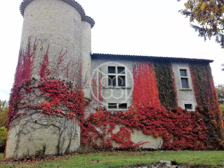 Castle Vic-Fezensac - 3 bedrooms - 340m²