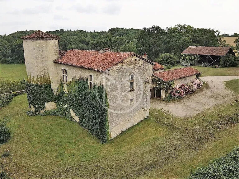 Castle Vic-Fezensac - 3 bedrooms - 340m²